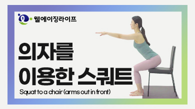 ڸ ̿ Ʈ : Squat to a chair arms out in front