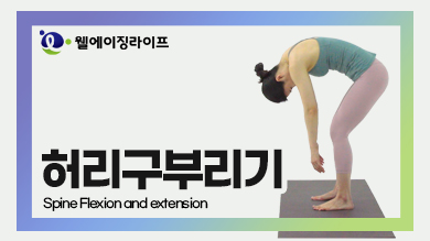 㸮 θ : Spine flexion and extension