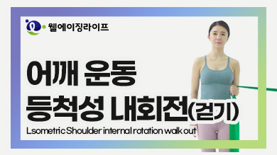   ô ȸ(ȱ) : Isometric shoulder internal rotation walk out